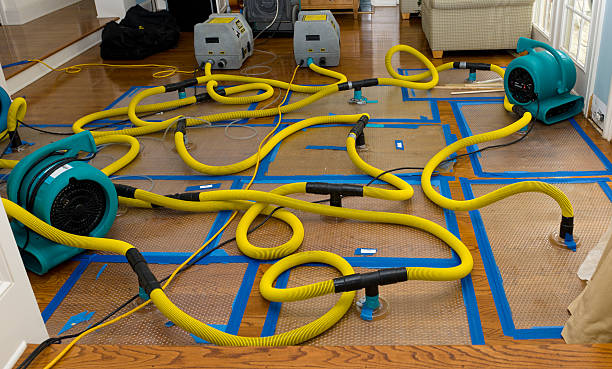 Professional Basement Flood Cleanup technician working in Gonzales, LA